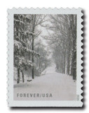 5540 - 2020 First-Class Forever Stamps - Winter Scenes: After the Snowfall