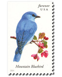 4883 - 2014 First-Class Forever Stamp - Songbirds: Mountain Bluebird
