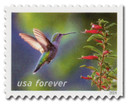 5848 - 2024 First-Class Forever Stamp - Ruby-Throated Hummingbird and Cigar Flowers, Garden Delights