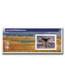 RW71A - 2004 $15.00 Federal Duck Stamp - Redheads