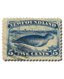 55 - 1894 Newfoundland