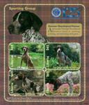 M10673 - 2009 Liberia AKC German Pointer 4v M