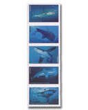 5223-27(CF1) - 2017 49c Sharks COUNTERFEIT