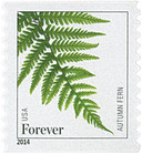 4974 - 2015 First-Class Forever Stamp - Ferns (with microprinting): Autumn Fern
