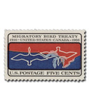 1306 - 1966 5c Migratory Bird Treaty
