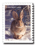 5539 - 2020 First-Class Forever Stamps - Winter Scenes: Rabbit