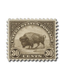 700 - 1931 30c American Bison, Brown, Perf. 10.5x11