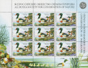 RC - Russia Duck Stamp