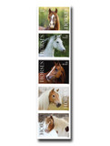 5891-95c - 2024 First-Class Forever Stamps - Imperforate Horses