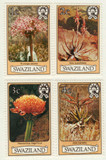 346-49 - 1980 Swaziland