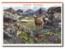 4198 - 2007 41c Nature of America: Alpine Tundra