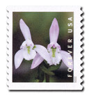 5439 - 2020 First-Class Forever Stamp - Wild Orchids (coil): Triphora trianthophoros, 2 flowers