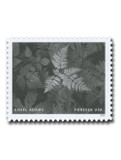 5854h - 2024 First-Class Forever Stamp - Photographs by Ansel Adams: Leaves, Mount Rainier National Park, Washington, 1942