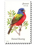 4885 - 2014 First-Class Forever Stamp - Songbirds: Painted Bunting