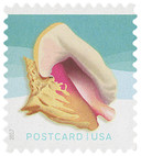 5163 - 2017 34c Seashells: Queen Conch