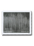 5854n - 2024 First-Class Forever Stamp - Photographs by Ansel Adams: Aspens, Dawn, Delores River Canyon, Colorado, 1937