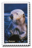 5713j - 2022 First-Class Forever Stamp - National Marine Sanctuaries: Sea Otter