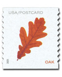 5973 - 2025 Forever Postcard Rate - Vibrant Leaves: Orange Oak Leaf (from coil)