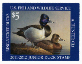 JDS19 - 2011 $5 Junior Duck Stamp - Ring-Necked Ducks