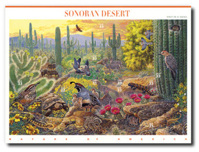 3293 - 1999 33c Nature of America: Sonoran Desert