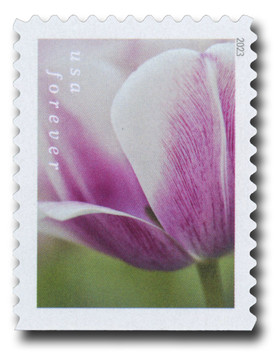 専用ページ　TULIP様 5779 - 2023 First-Class Forever Stamp - Tulip Blossoms: Pink Tulip