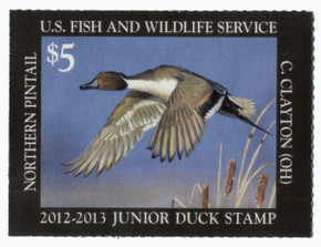 JDS20 - 2012 $5 Junior Duck Stamp - Northern Pintail