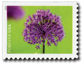 5560 - 2021 First-Class Forever Stamps - Garden Beauty: Allium