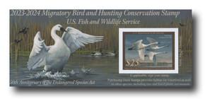 RW90A - 2023 $25.00 Federal Duck Stamp - Tundra Swans