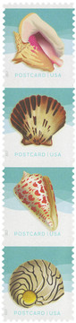 5163-66 - 2017 34c Seashells