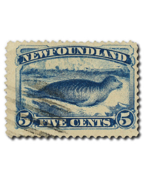 55 - 1894 Newfoundland