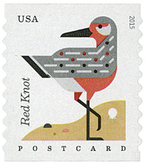 4997 - 2015 35c Coastal Birds: Red Knot, coil