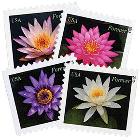 4964-67 - 2015 First-Class Forever Stamp - Water Lilies