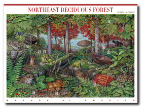 3899 - 2005 37c Nature of America: Northeast Deciduous Forest