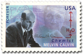 4541 - 2011 First-Class Forever Stamp -  American Scientists: Melvin Calv