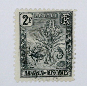 76 - 1903 Malagasy Republic