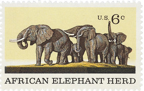 Natural History: African Elephant Herd