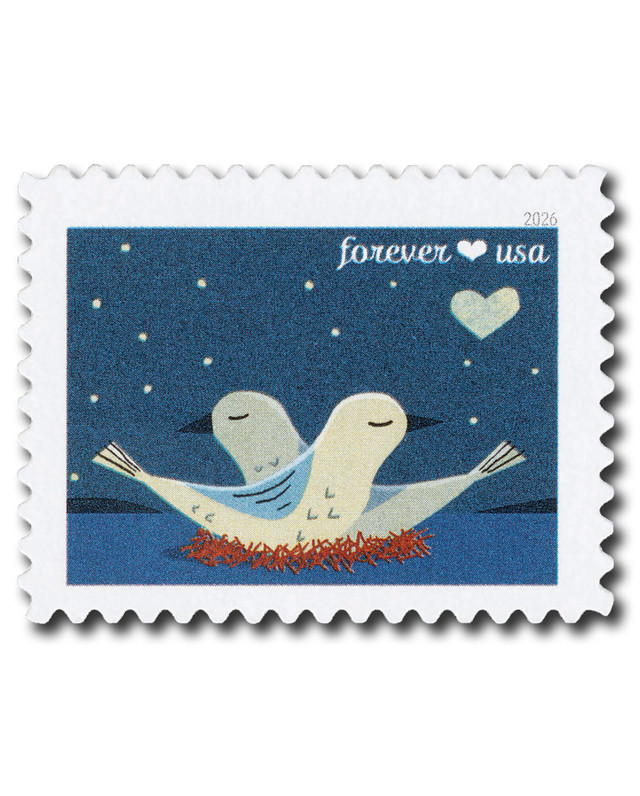 United States of America 2026 Love Stylized Birds: Dark Blue Background