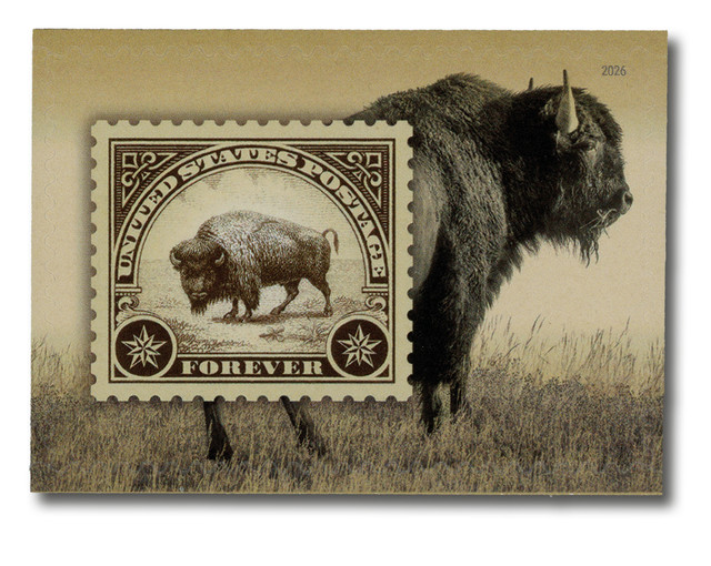 United States of America 2026 American Bison