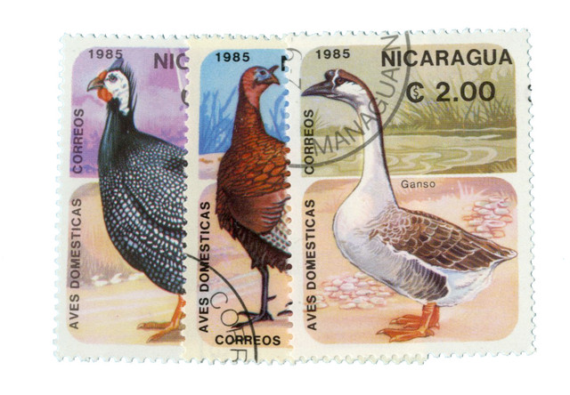 1467-69 - 1985 Nicaragua