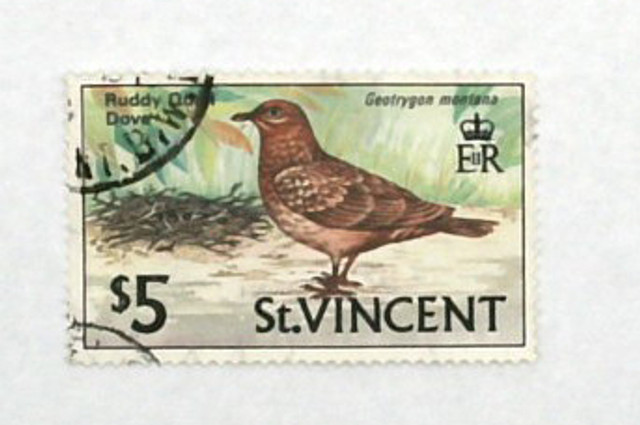 294 - 1970 St. Vincent