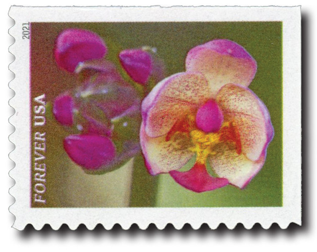 5561 - 2021 First-Class Forever Stamps - Garden Beauty: Pink Moth Orchid
