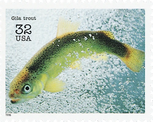 United States of America 1996 Gila Trout (Oncorhynchus gilae)