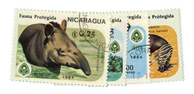 1391-94 - 1984 Nicaragua