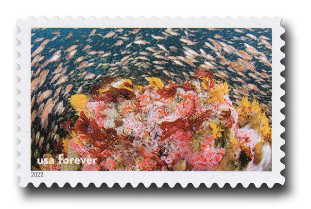 Splashing into History: Celebrating the Birth of Papahānaumokuākea Marine National Monument!