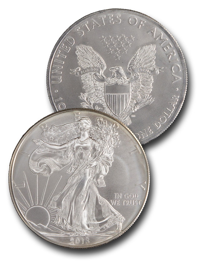 CNSE13 - 2013 $1 American Silver Eagle