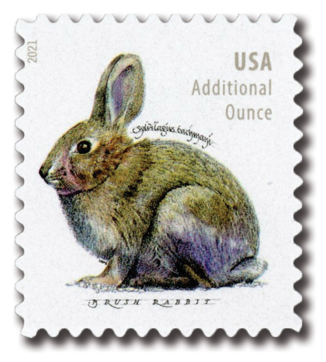 5544 - 2021 20c Brush Rabbit (sheet stamp)