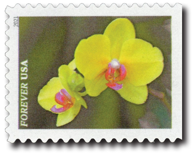 5563 - 2021 First-Class Forever Stamps - Garden Beauty: Yellow Moth Orchid with Pink Center