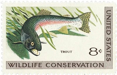 United States of America 1971 Rainbow Trout (Oncorhynchus mykiss)