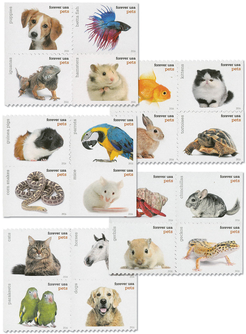 Baby Wild Animals Digital Color Postmarks - View #5