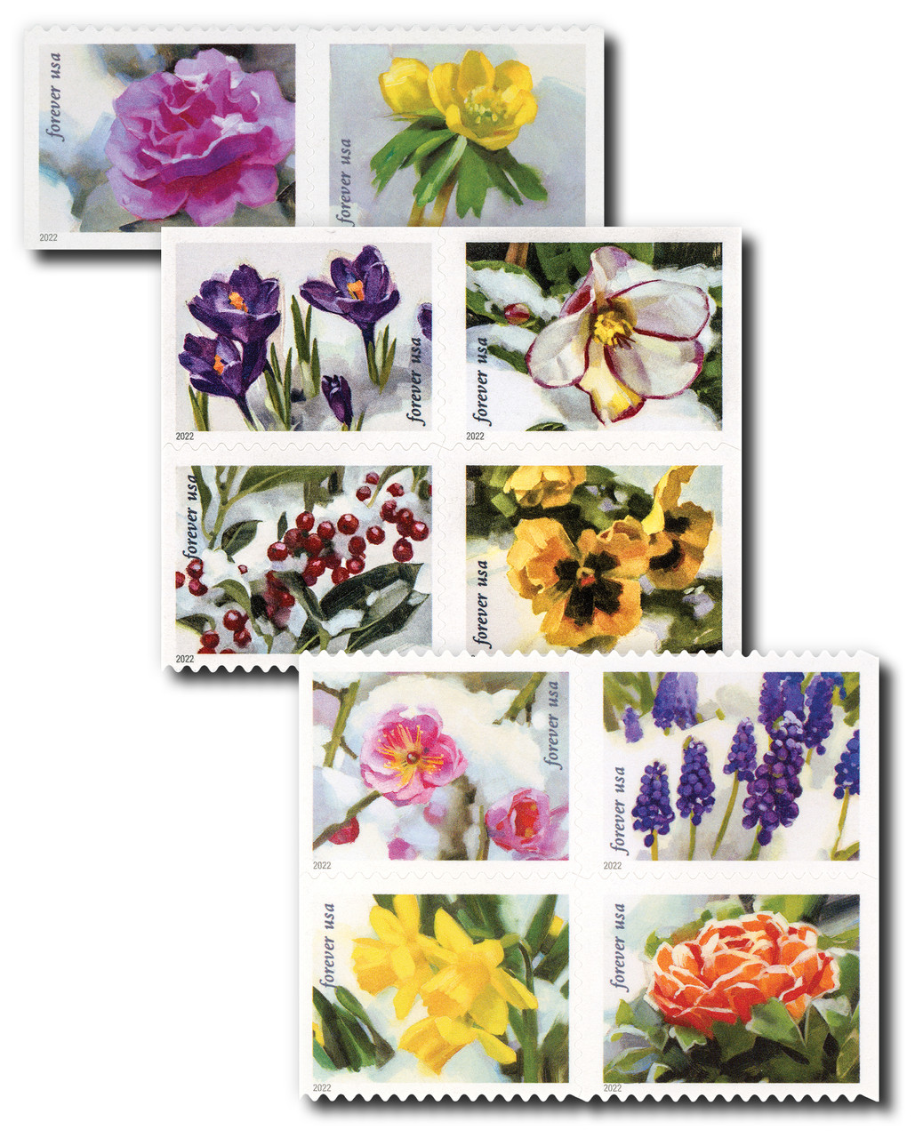 5727-36 - 2022 First-Class Forever Stamps - Snowy Beauty